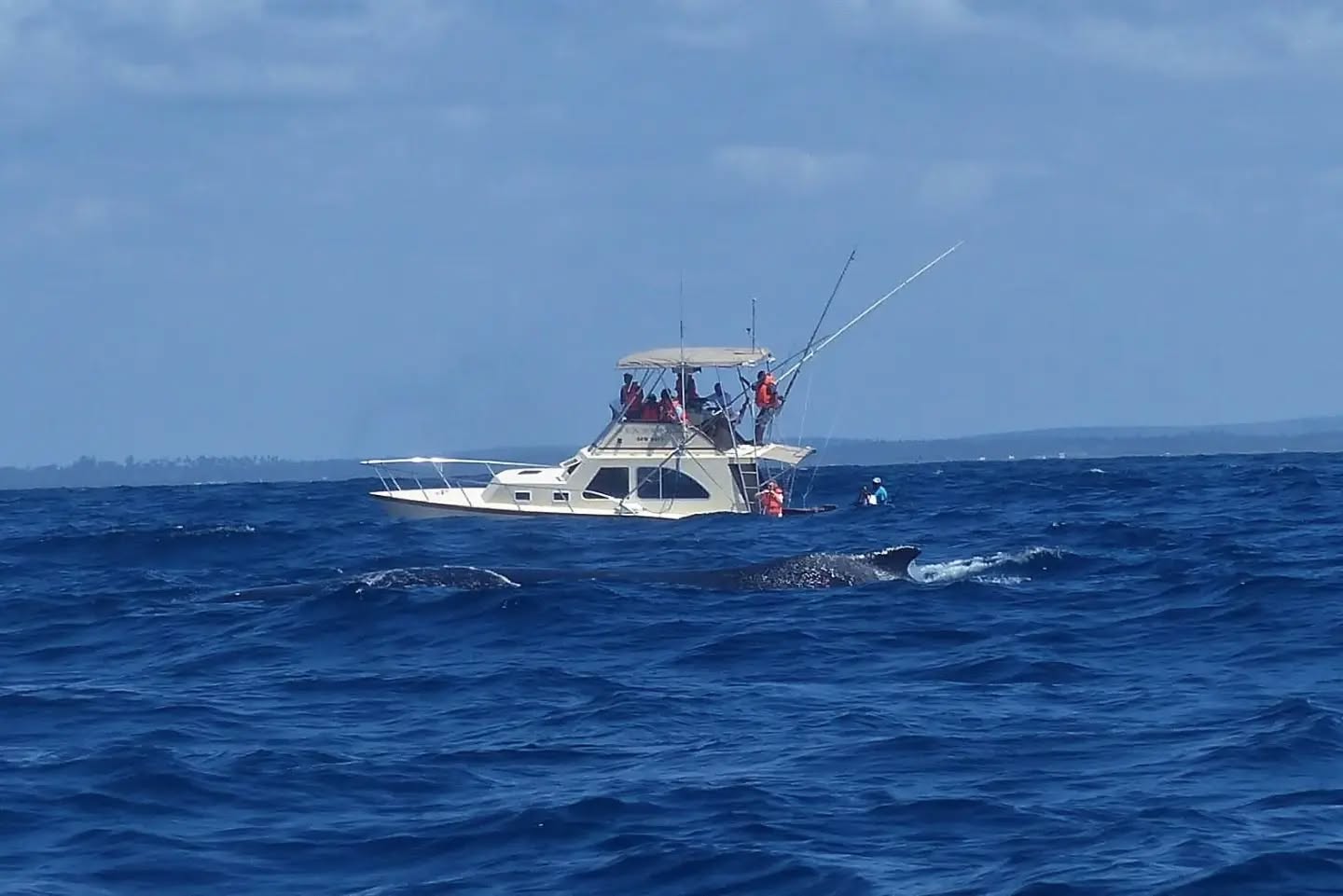 Half Day Watamu Marine Excursion